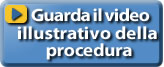 video iva 2010