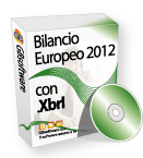 Bilancio CEE 2011