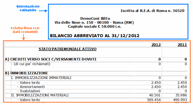 Schema bilancio iv direttiva cee editabile
