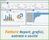 Fatture Web: report, grafici, entrate e uscite