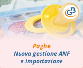 Paghe 2019: nuova gestione ANF e importazione